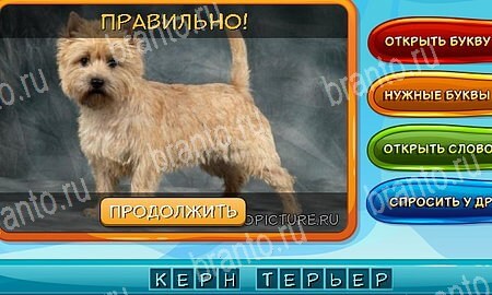 решебник на игру Собаки и кошки Уровень 297