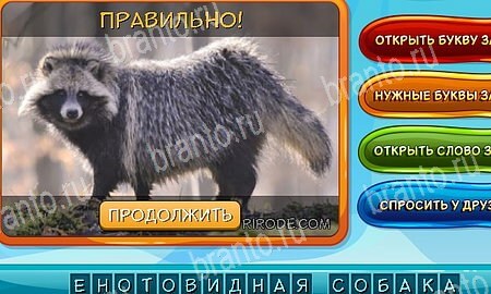 Собаки и кошки игра из одноклассников решения Уровень 298