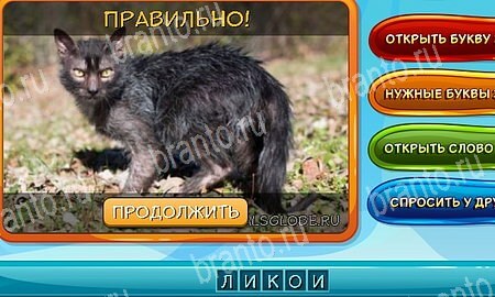 Собаки и кошки игра вконтакте подсказки Уровень 300