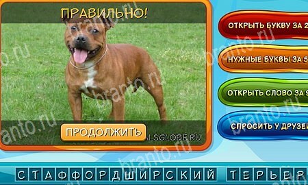 ответы на игру Собаки и кошки в одноклассниках Уровень 31