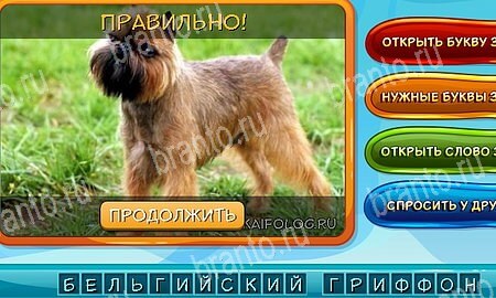 Подсказки на игру Собаки и кошки Эпизод 13 уровень 3