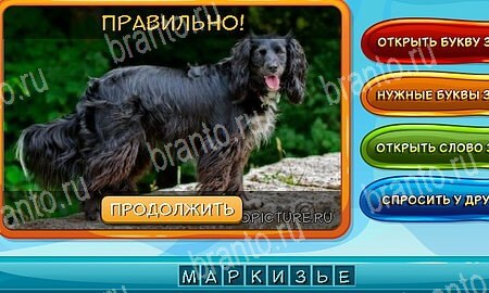 Решения на игру Собаки и кошки Эпизод 13 уровень 4