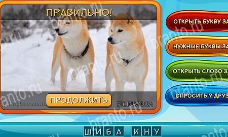 Помощь на игру ВК Собаки и кошки Уровень 30