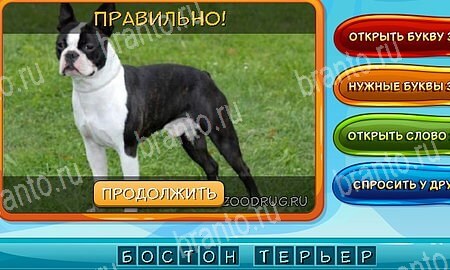 ответы к игре Собаки и кошки в контакте Уровень 31