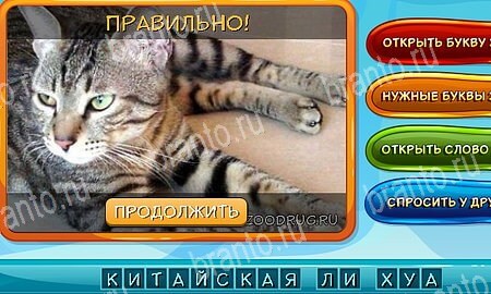 ответы на игру в одноклассниках Собаки и кошки Уровень 32