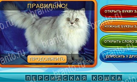 Собаки и кошки решения на игру из одноклассников Уровень 313