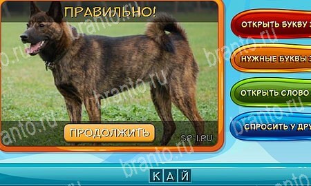 Собаки и кошки игра ответы на все задания Уровень 314