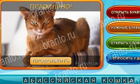 Собаки и кошки игра в контакте подсказки Уровень 315