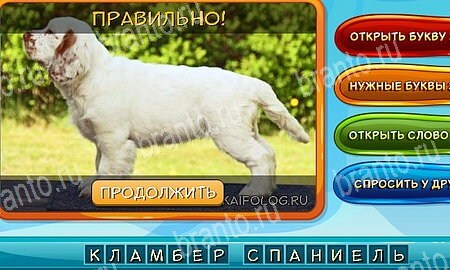 Игра Собаки и кошки ответы одноклассники, вк Уровень 318