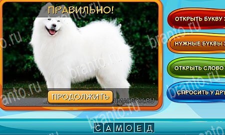 игра Собаки и кошки помощь одноклассники Уровень 320