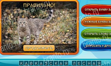 решебник на игру Собаки и кошки Уровень 322