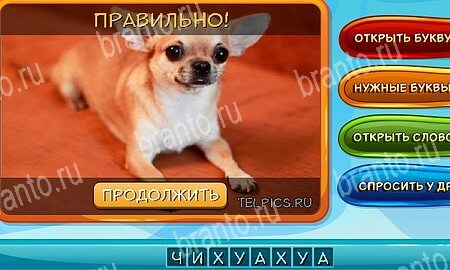 Собаки и кошки игра из одноклассников решения Уровень 323