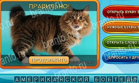Собаки и кошки игра ответы ВК Уровень 324