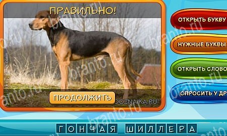 Собаки и кошки игра подсказки Уровень 325