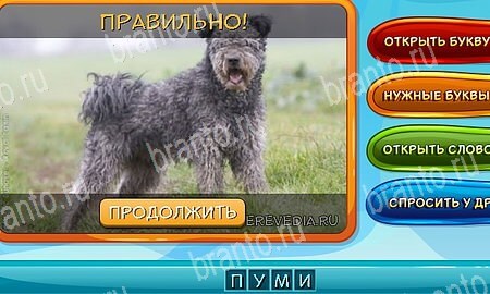 ответы на игру Собаки и кошки в одноклассниках Уровень 326