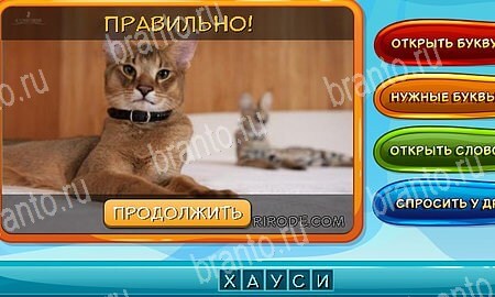 ответы на игру Собаки и кошки в одноклассниках Уровень 327