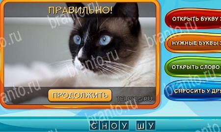 Подсказки на игру Собаки и кошки Эпизод 14 Уровень 328