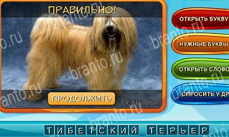 Решения на игру Собаки и кошки Эпизод 14 Уровень 329