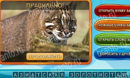 Помощь на игру ВК Собаки и кошки Уровень 330