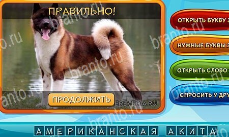 ответы на игру в одноклассниках Собаки и кошки Уровень 332