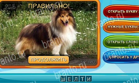 Собаки и кошки игра ответы в одноклассниках Уровень 333