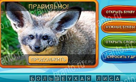 Одноклассники Собаки и кошки ответы Уровень 334