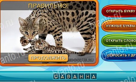решебник на игру Собаки и кошки Уровень 337