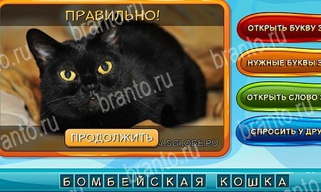 Собаки и кошки решения на игру из одноклассников Уровень 338