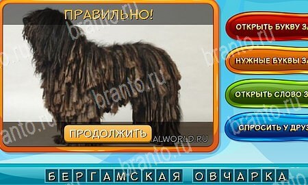 Собаки и кошки игра в одноклассниках помощь Уровень 341