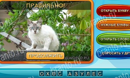 Собаки и кошки ответы в картинках в контакте Уровень 342