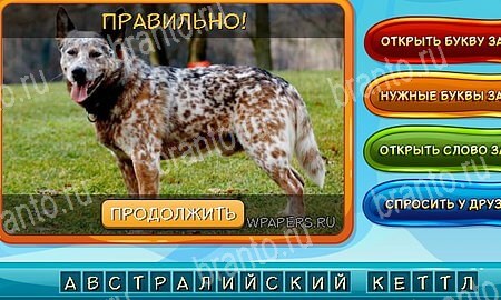 Игра Собаки и кошки ответы одноклассники, вк Уровень 343