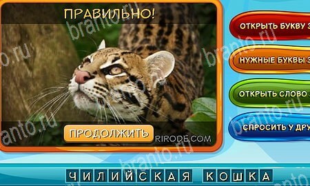 Собаки и кошки игра из одноклассников решения Уровень 348