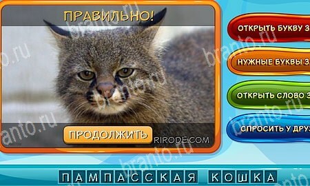 Решения на игру Собаки и кошки Эпизод 9 уровень 4