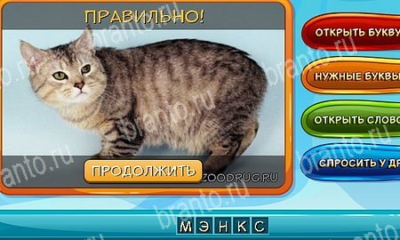 ответы к игре Собаки и кошки в контакте Уровень 21