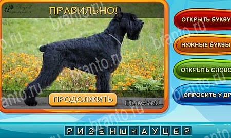 ответы на игру в одноклассниках Собаки и кошки Уровень 22