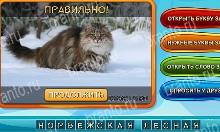 Собаки и кошки игра ответы в одноклассниках уровень 8