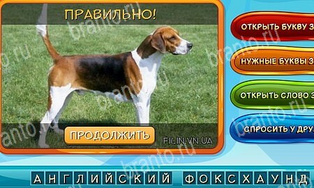 Собаки и кошки подсказки в контакте Уровень 210