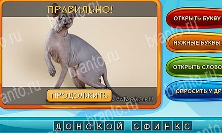 игра Собаки и кошки разгадки, ответ на Уровень 211