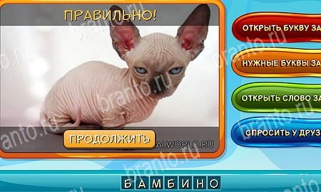 Собаки и кошки решения на игру из одноклассников Уровень 213