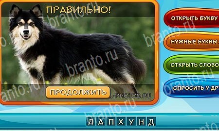 Собаки и кошки игра ответы на все задания Уровень 214