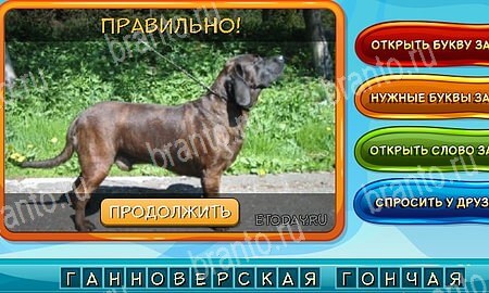 Собаки и кошки игра в контакте подсказки Уровень 215