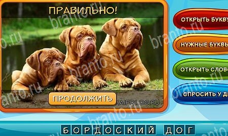 Собаки и кошки ответы в картинках в контакте Уровень 217