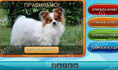 Игра Собаки и кошки подсказки вк Уровень 219