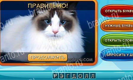 игра Собаки и кошки помощь одноклассники Уровень 220