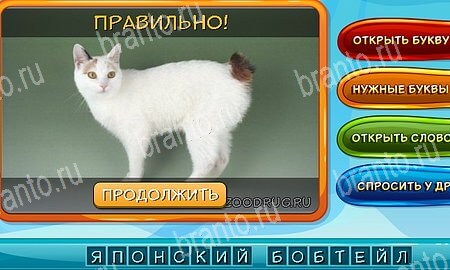 решебник на игру Собаки и кошки Уровень 222