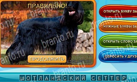 Собаки и кошки игра из одноклассников решения Уровень 223