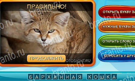 Собаки и кошки игра подсказки Уровень 225