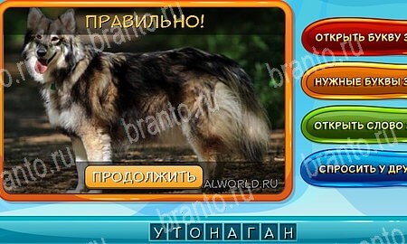 ответы на игру Собаки и кошки в одноклассниках Уровень 226