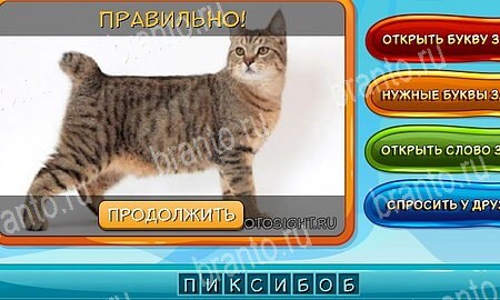 ответы на игру Собаки и кошки в одноклассниках Уровень 227
