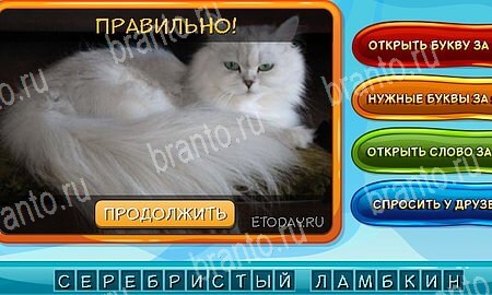 Подсказки на игру Собаки и кошки Эпизод 10 Уровень 228